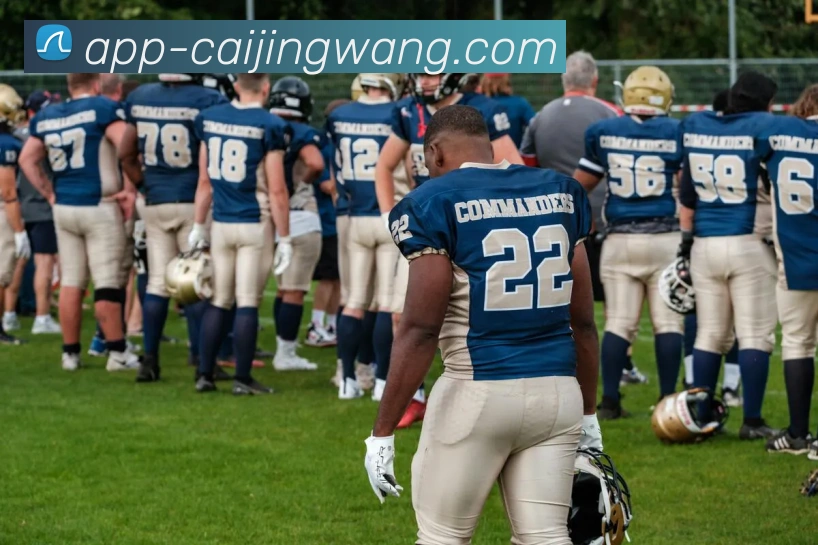 彩经网服务体系